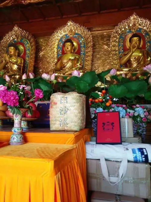 上北京,我们准备了79年 七 安化黑茶 供佛斋僧甘露法会在北京灵光寺举行
